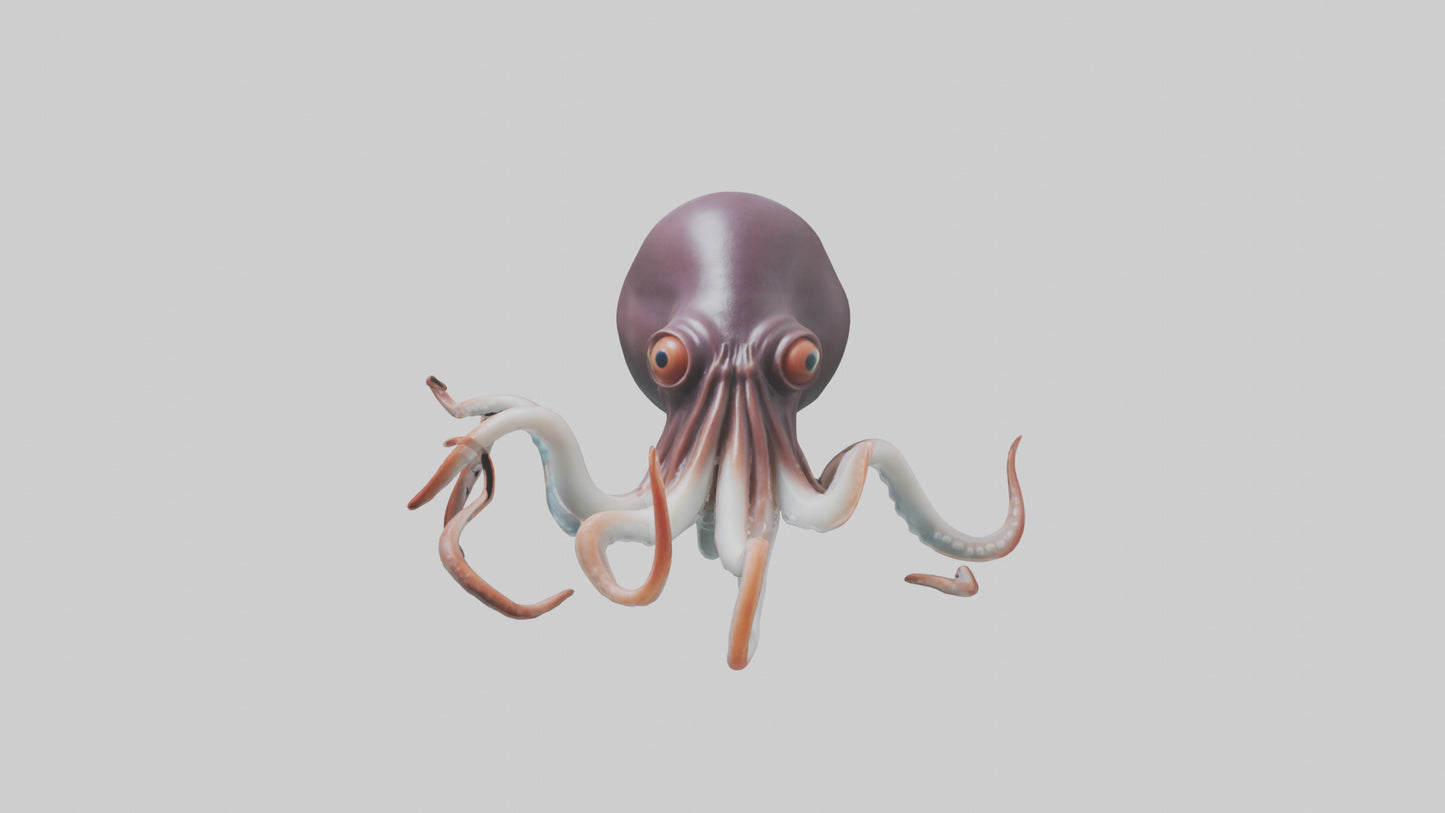 3D model Giant Squid propelling model VR / AR / low-poly