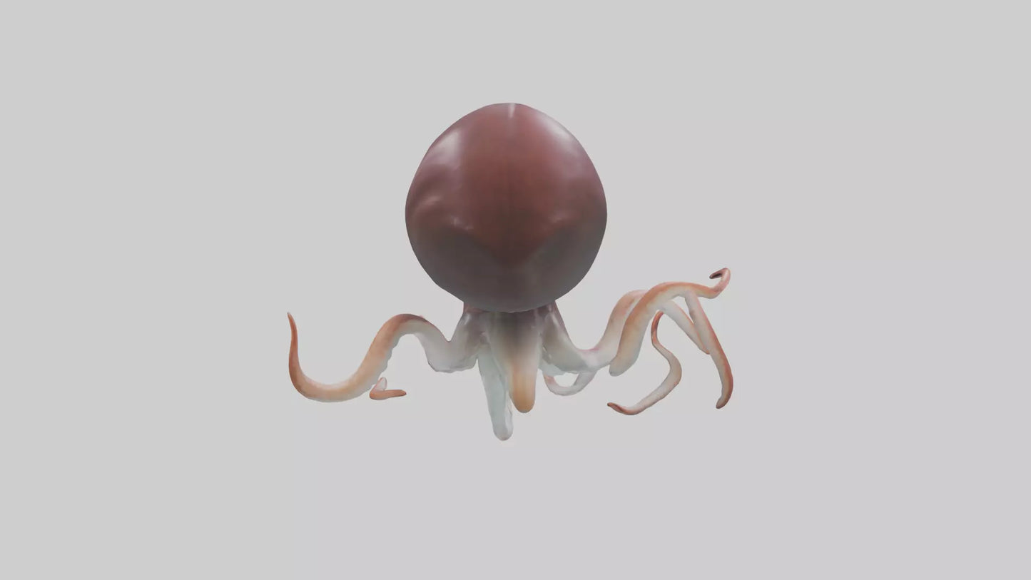 3D model Giant Squid propelling model VR / AR / low-poly