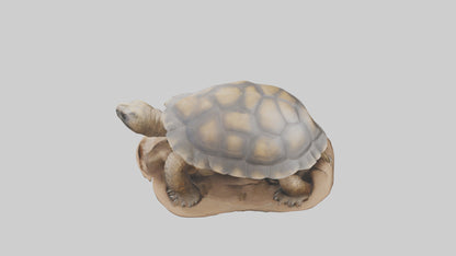 3D model Giant Tortoise sitting model VR / AR / low-poly