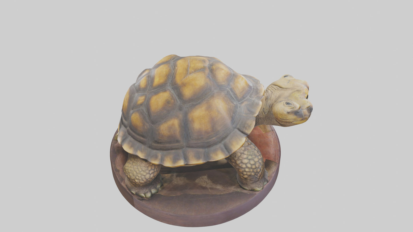 3D model Giant Tortoise statue model VR / AR / low-poly