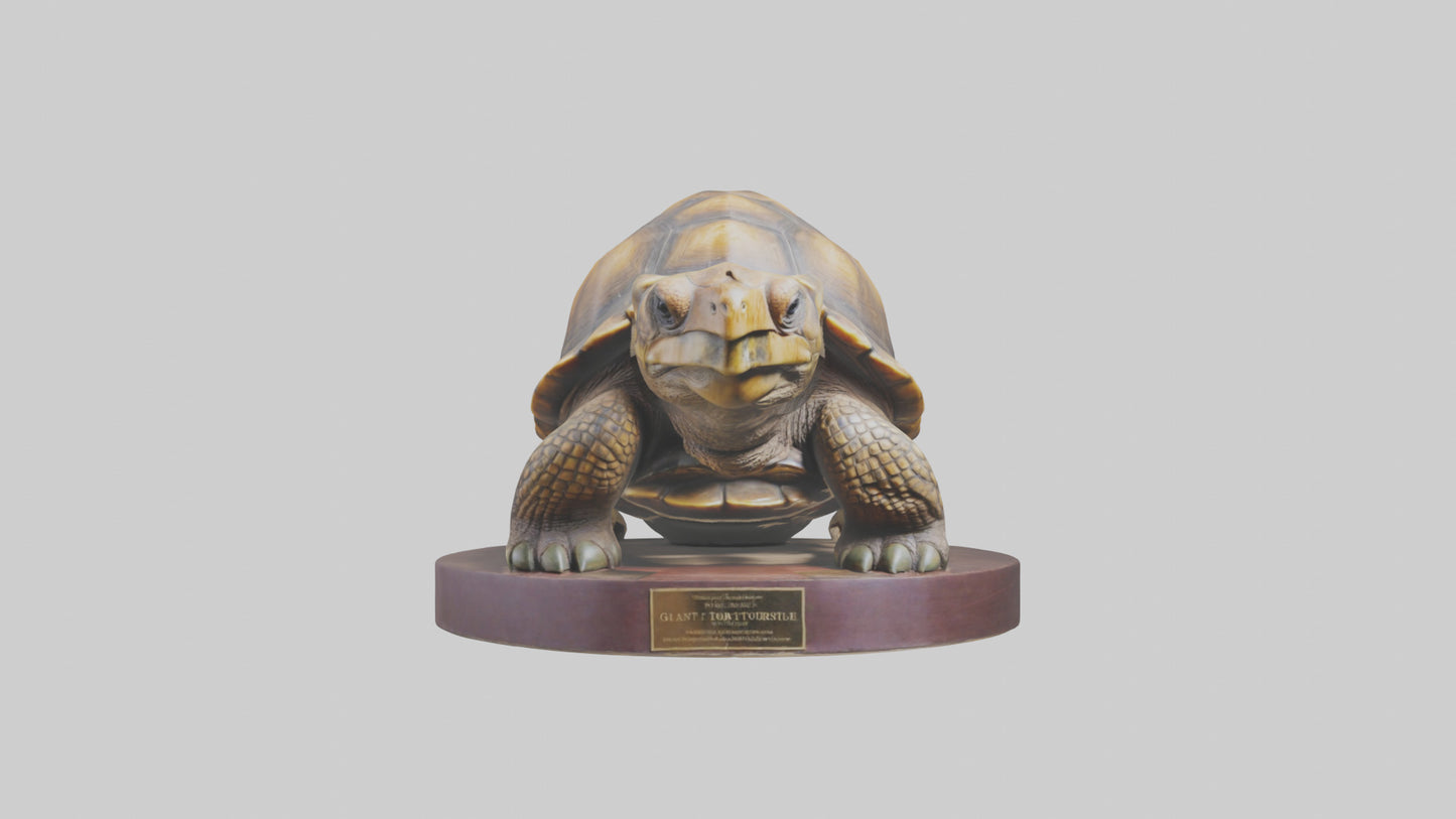 3D model Giant Tortoise statue model VR / AR / low-poly