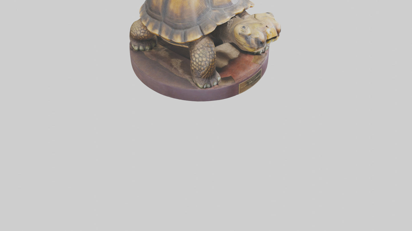 3D model Giant Tortoise statue model VR / AR / low-poly