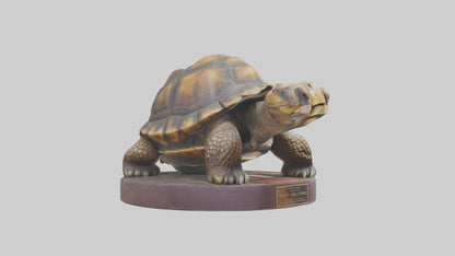 3D model Giant Tortoise statue model VR / AR / low-poly