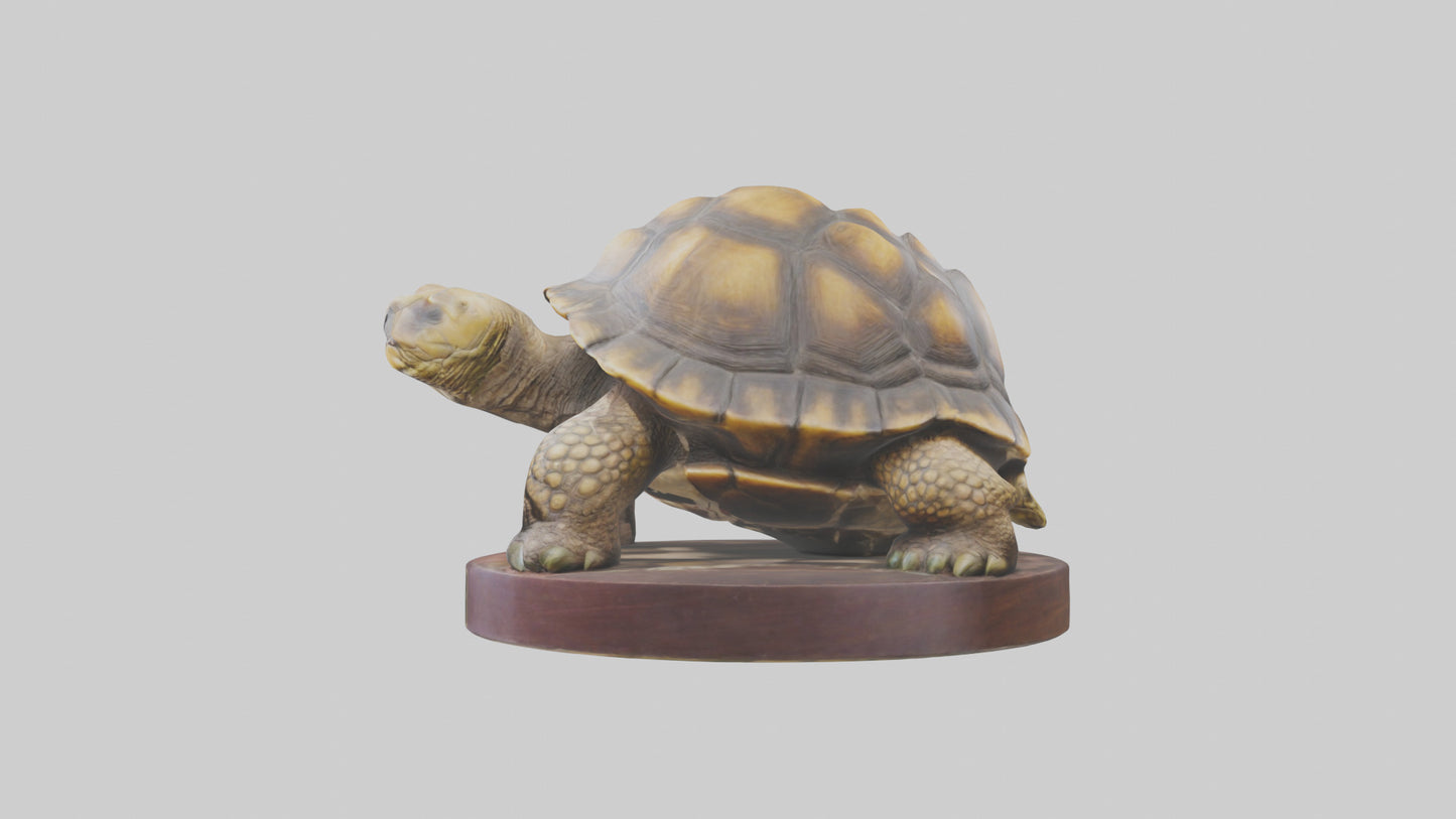 3D model Giant Tortoise statue model VR / AR / low-poly