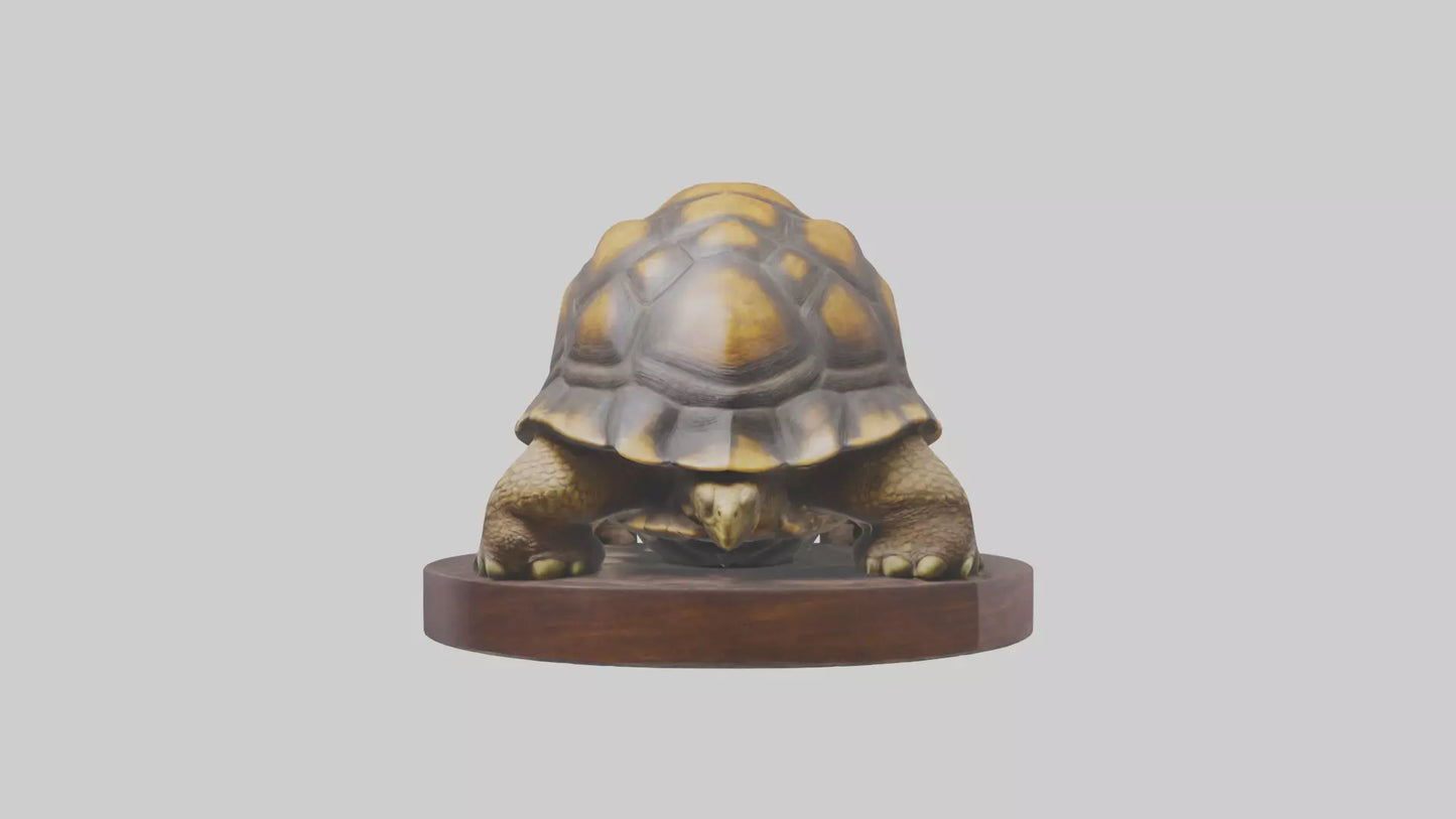 3D model Giant Tortoise statue model VR / AR / low-poly