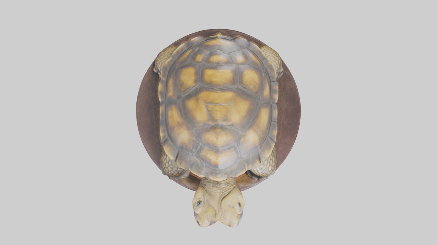 3D model Giant Tortoise statue model VR / AR / low-poly