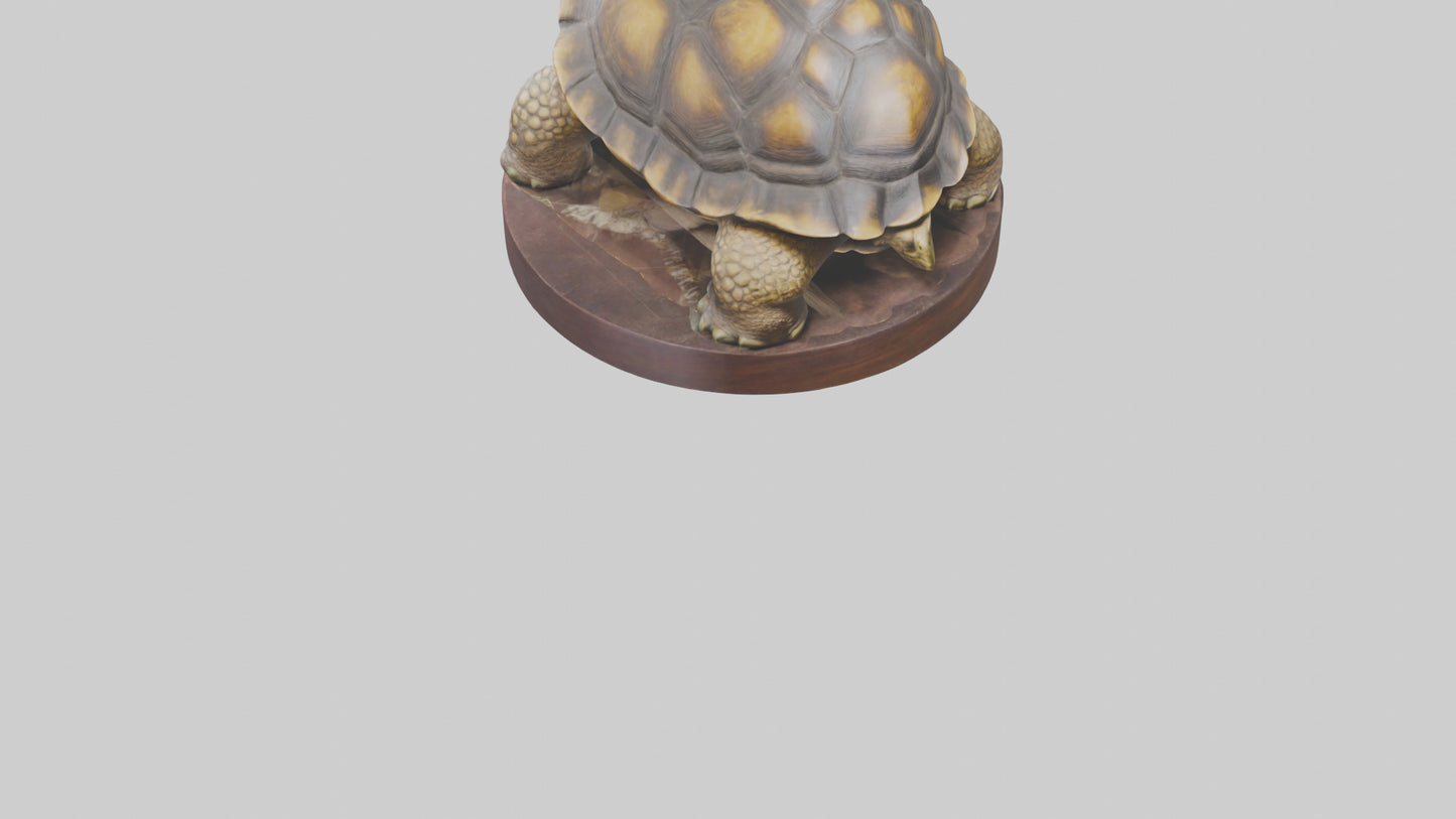 3D model Giant Tortoise statue model VR / AR / low-poly
