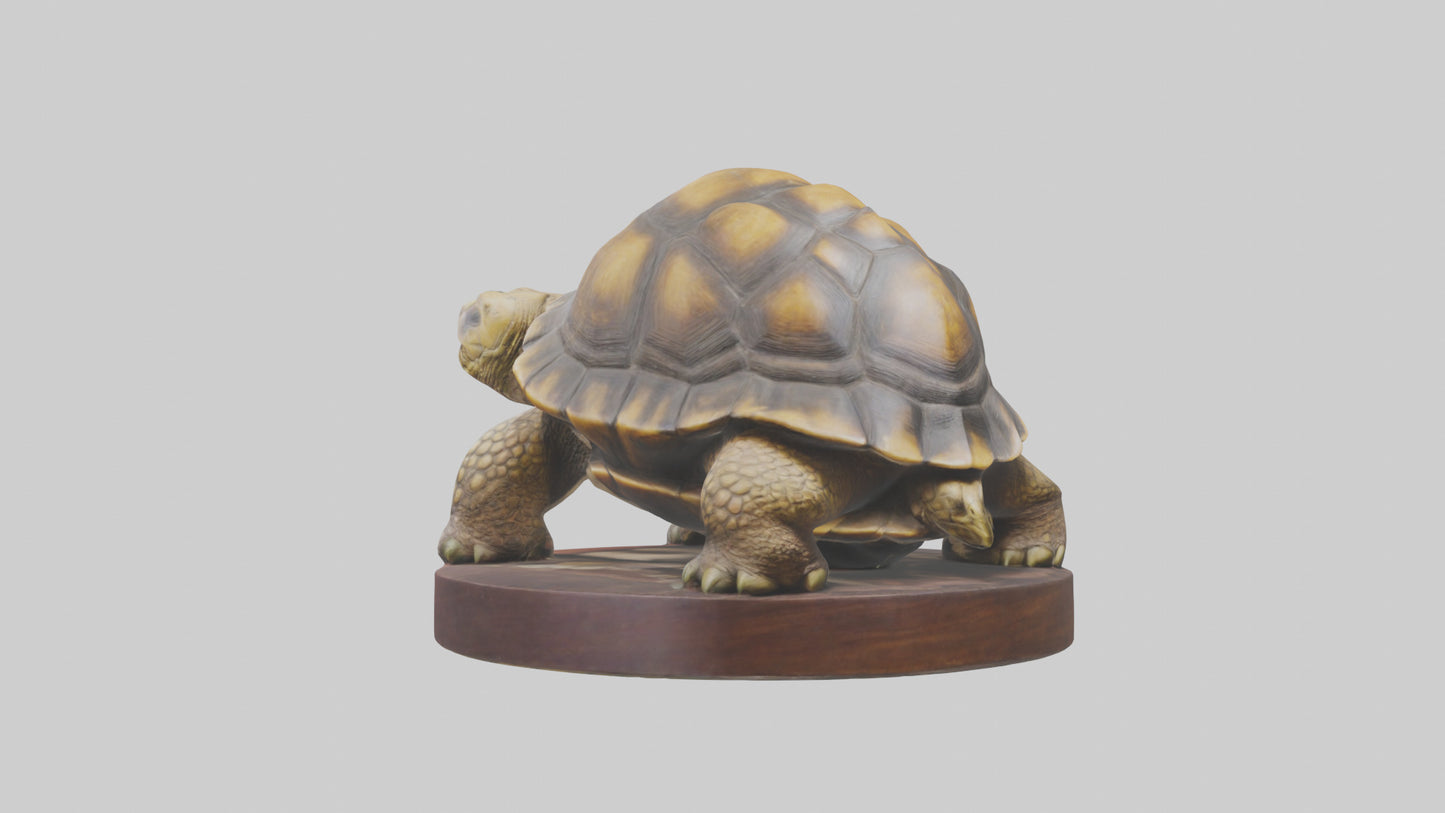 3D model Giant Tortoise statue model VR / AR / low-poly