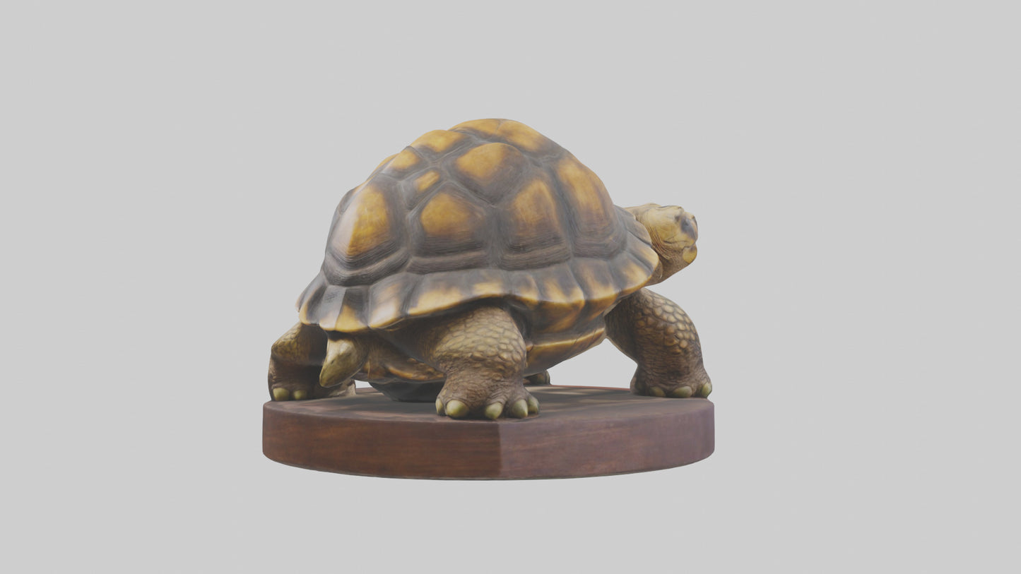 3D model Giant Tortoise statue model VR / AR / low-poly