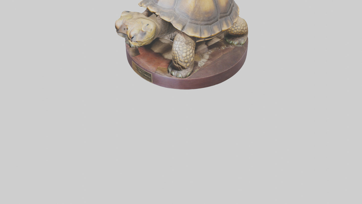 3D model Giant Tortoise statue model VR / AR / low-poly