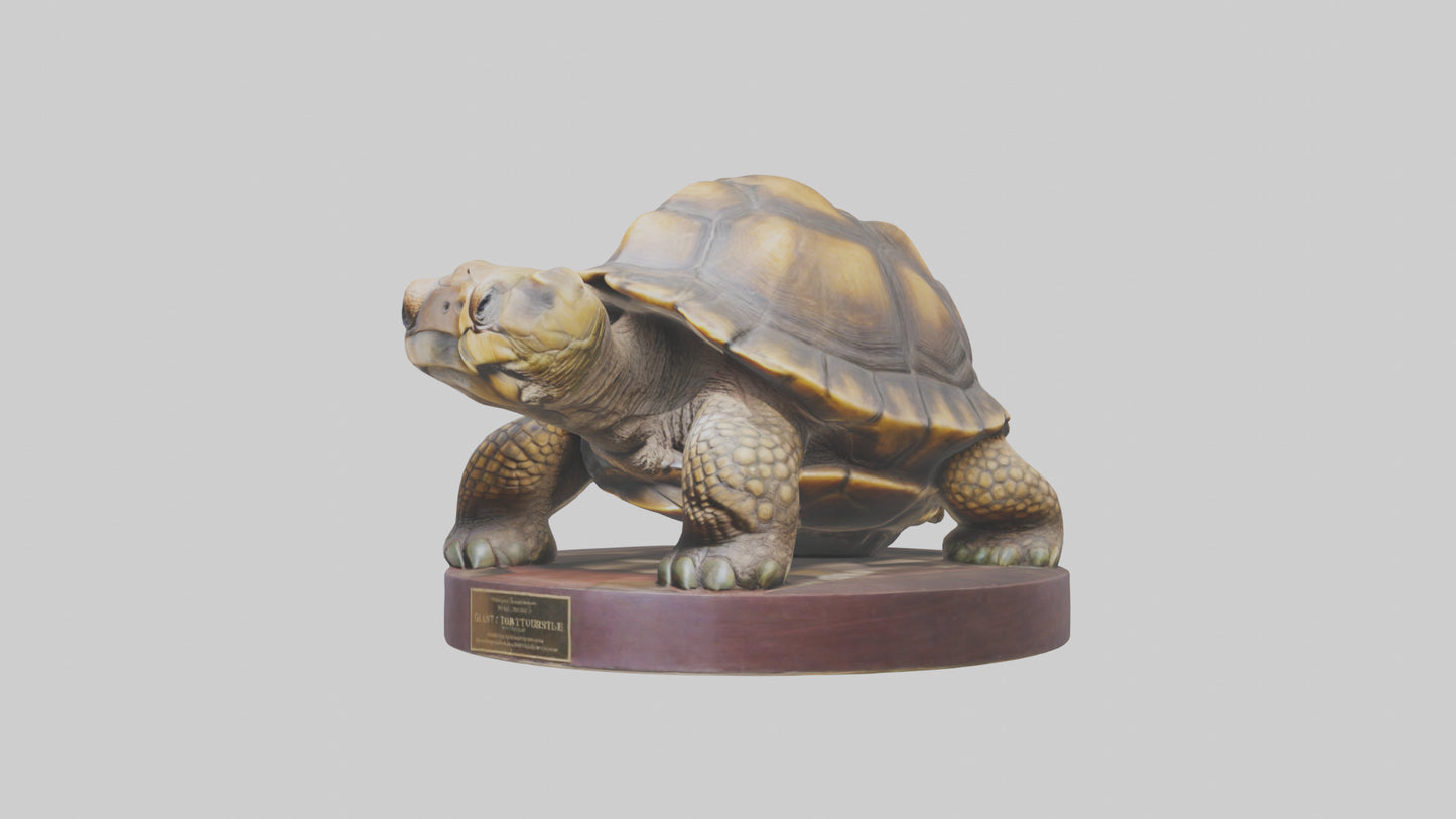 3D model Giant Tortoise statue model VR / AR / low-poly