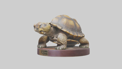 3D model Giant Tortoise statue model VR / AR / low-poly