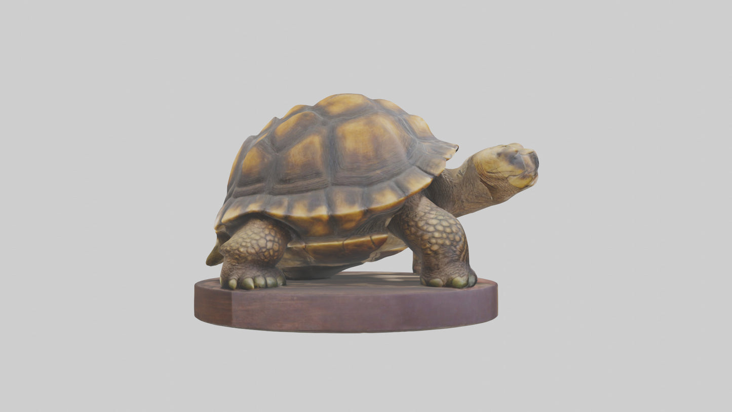 3D model Giant Tortoise statue model VR / AR / low-poly