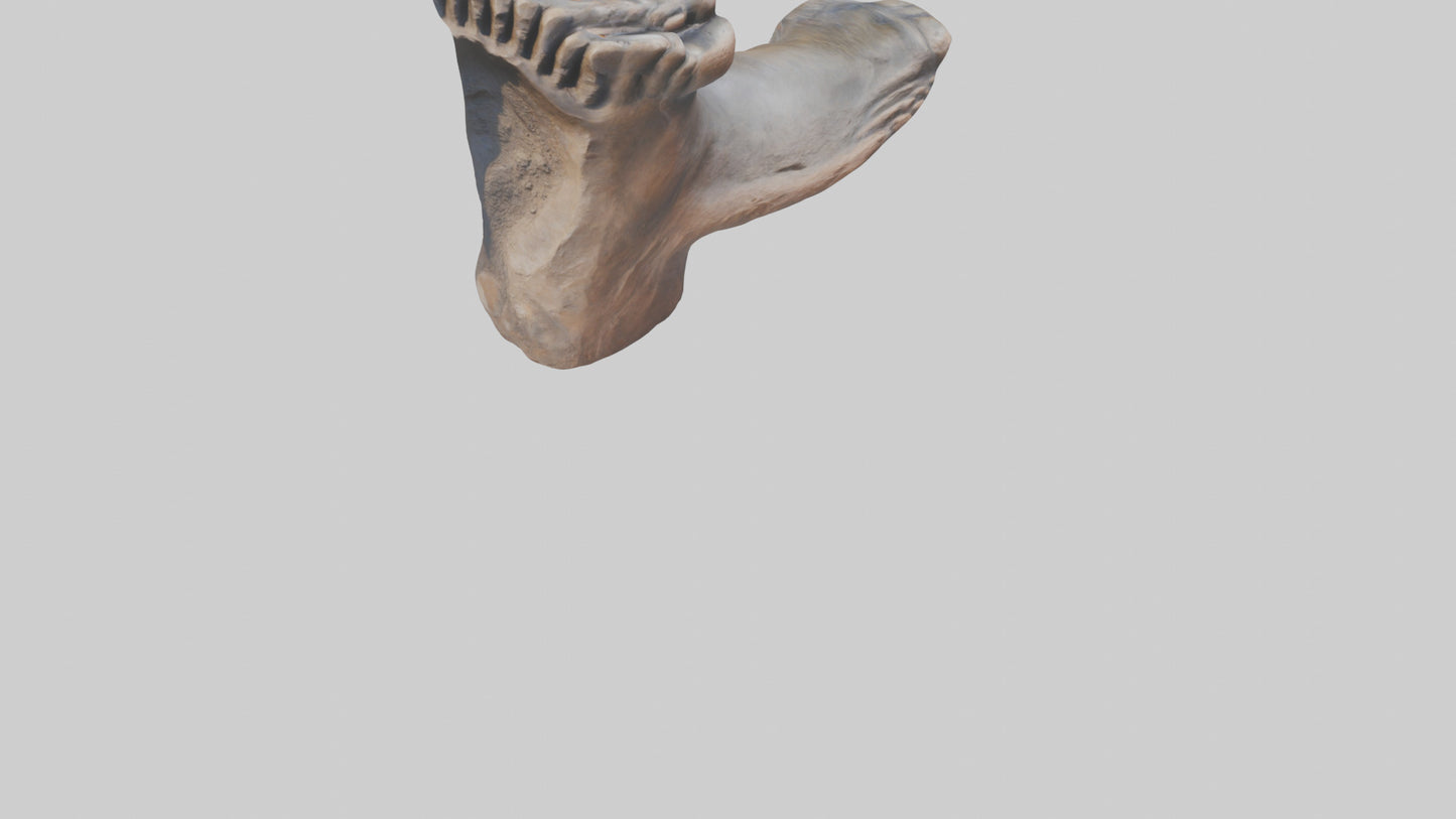 3D model Giants Footprint statue model VR / AR / low-poly