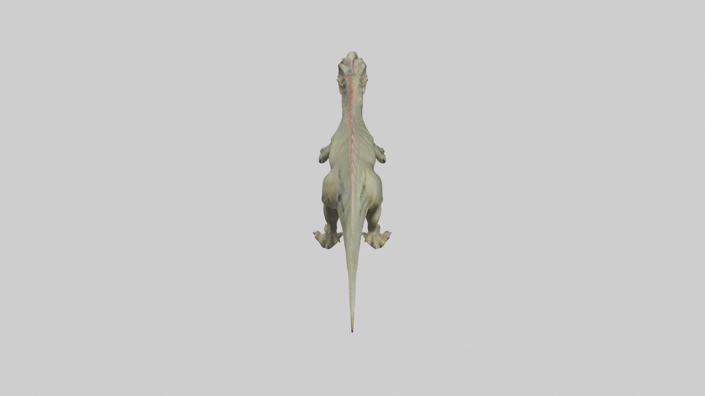 3D model Giganotosaurus model VR / AR / low-poly