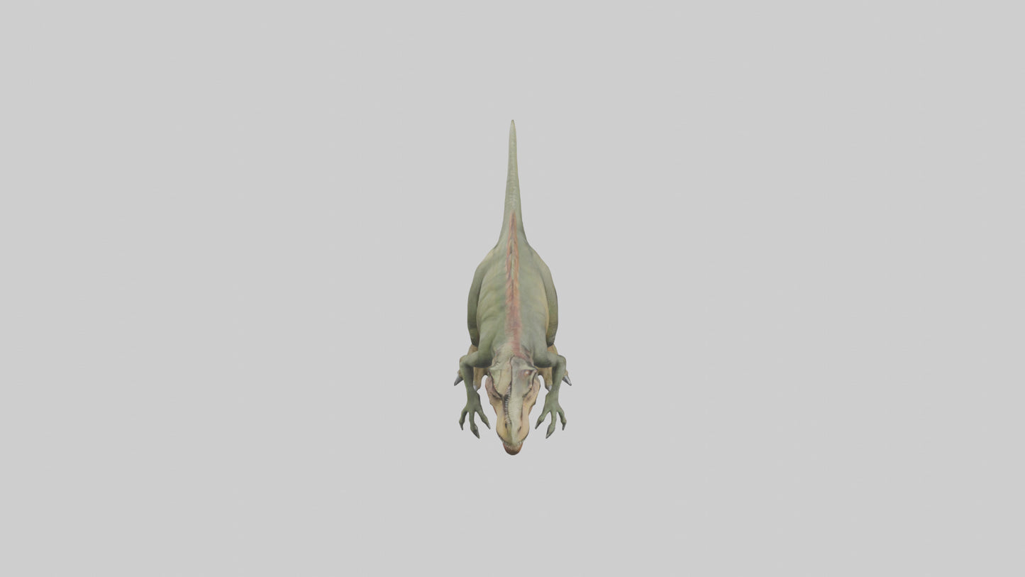 3D model Giganotosaurus model VR / AR / low-poly