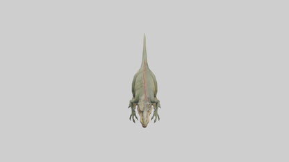 3D model Giganotosaurus model VR / AR / low-poly