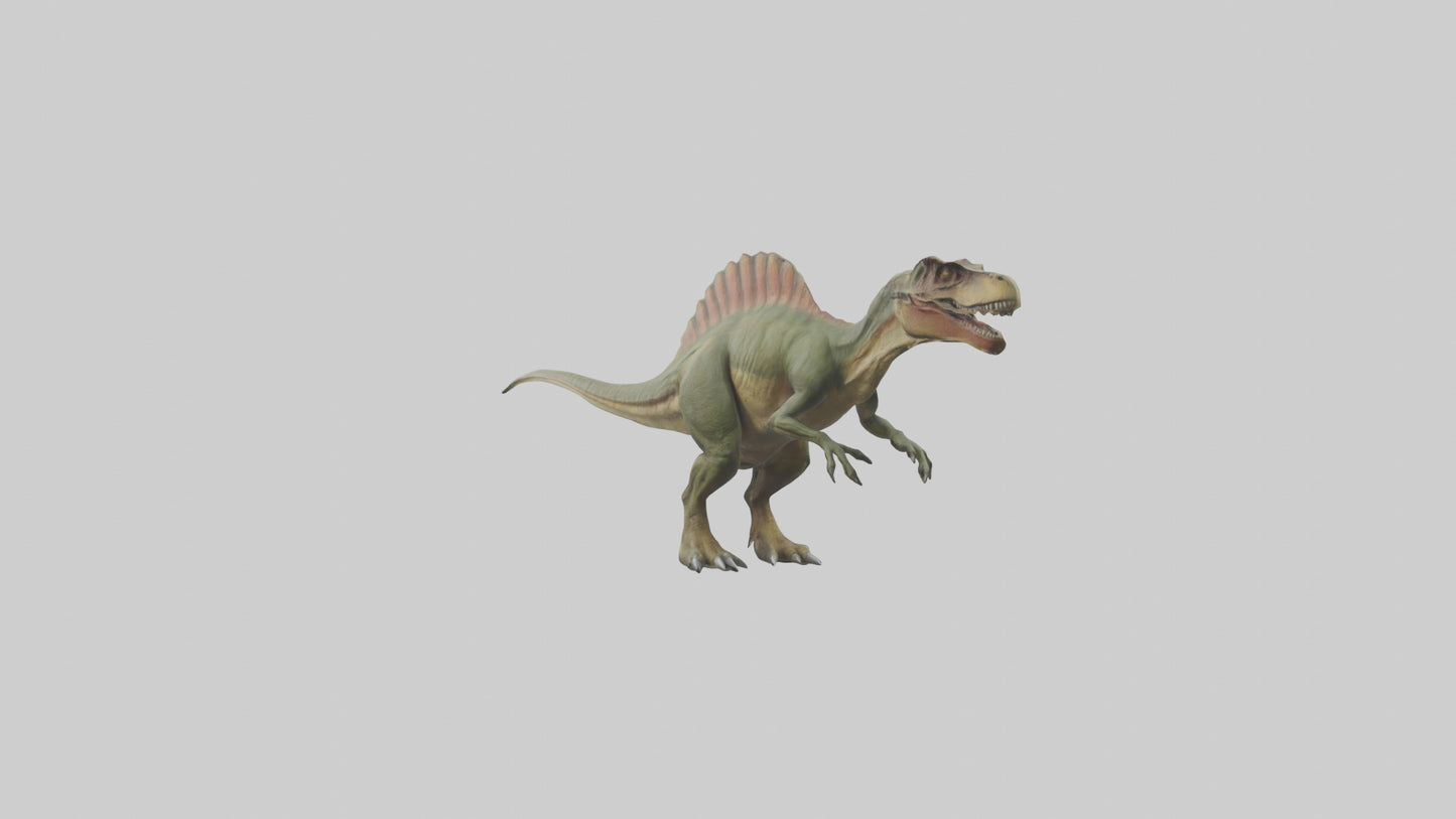 3D model Giganotosaurus model VR / AR / low-poly