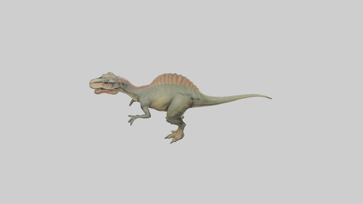 3D model Giganotosaurus model VR / AR / low-poly