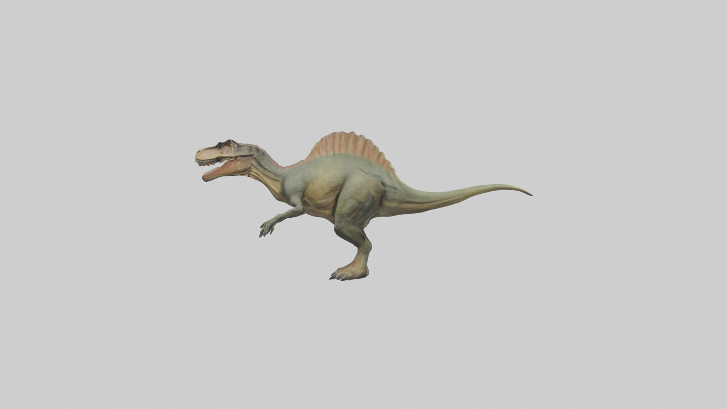 3D model Giganotosaurus model VR / AR / low-poly