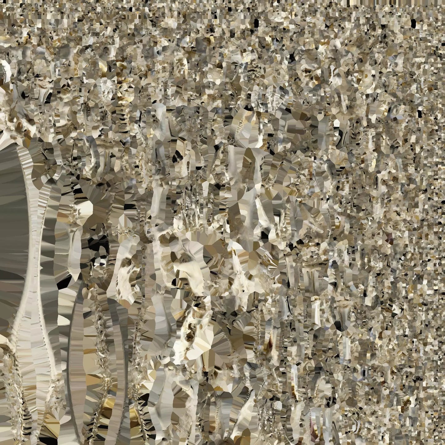 3D model Giganotosaurus Skeleton model VR / AR / low-poly