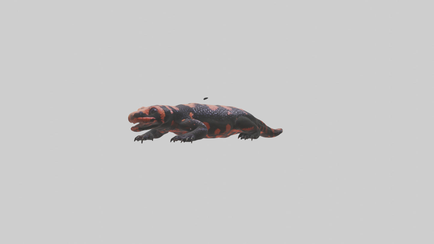 3D model Gila Monster sunning model VR / AR / low-poly