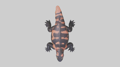 3D model Gila Monster sunning model VR / AR / low-poly
