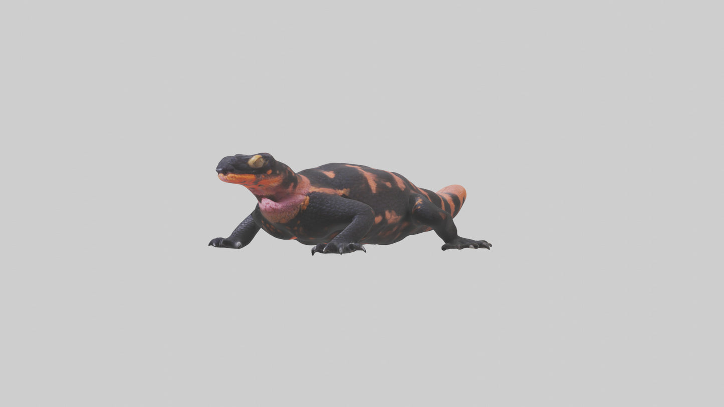3D model Gila Monster sunning model VR / AR / low-poly