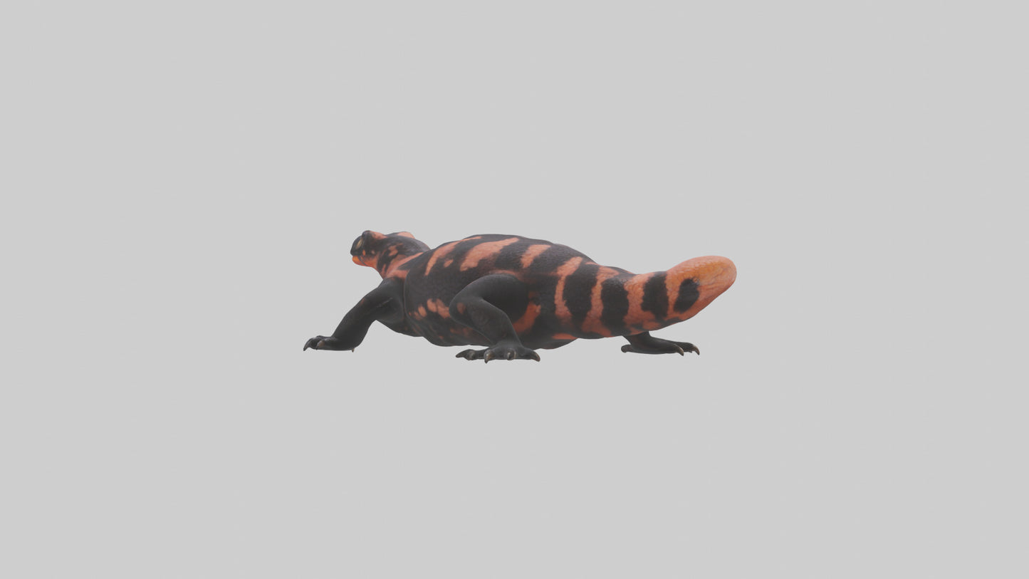 3D model Gila Monster sunning model VR / AR / low-poly