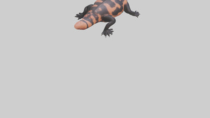 3D model Gila Monster sunning model VR / AR / low-poly