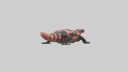 3D model Gila Monster sunning model VR / AR / low-poly