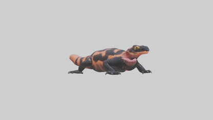 3D model Gila Monster sunning model VR / AR / low-poly