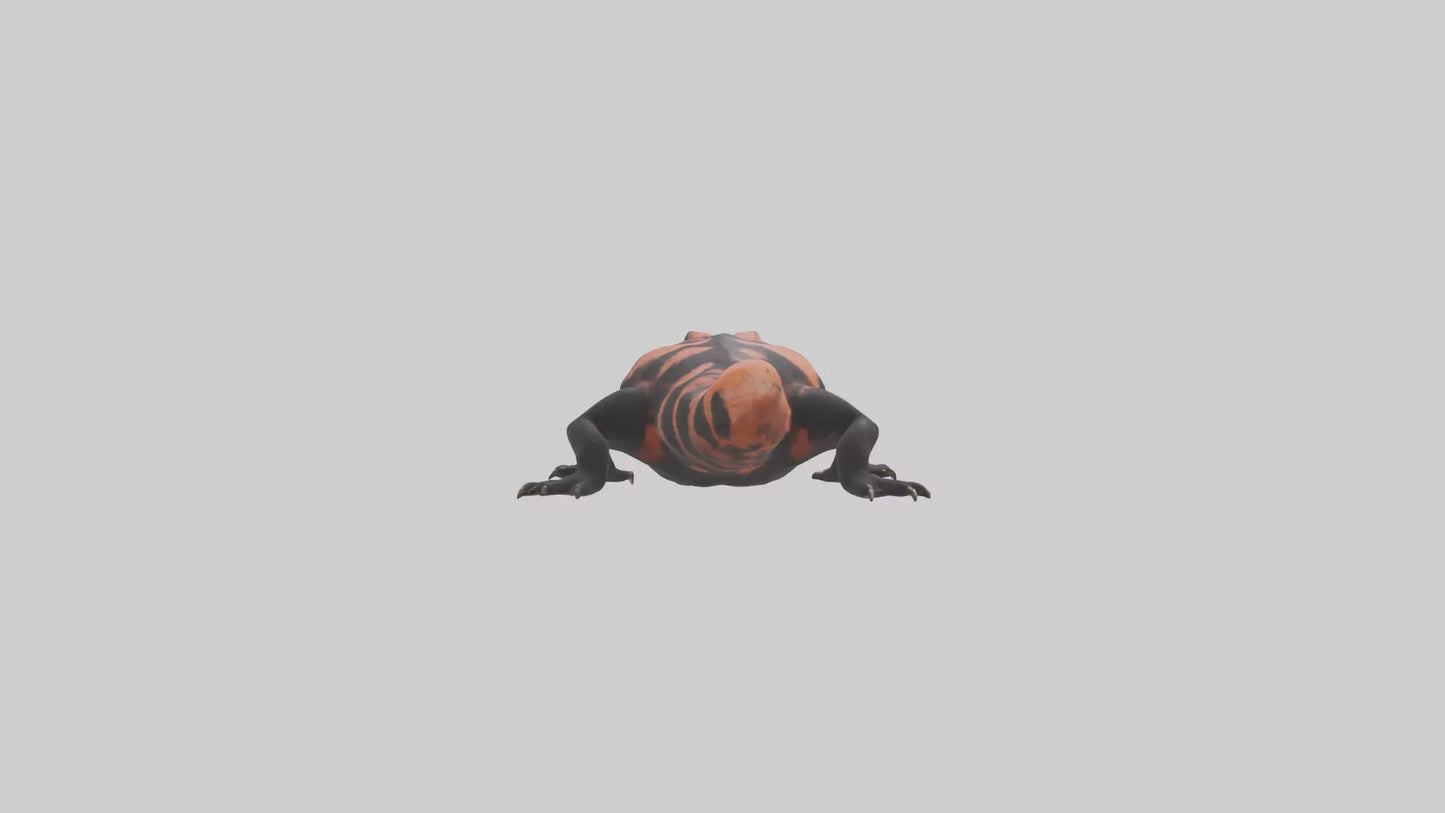 3D model Gila Monster sunning model VR / AR / low-poly