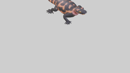 3D model Gila Monster sunning model VR / AR / low-poly