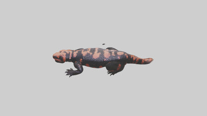 3D model Gila Monster sunning model VR / AR / low-poly