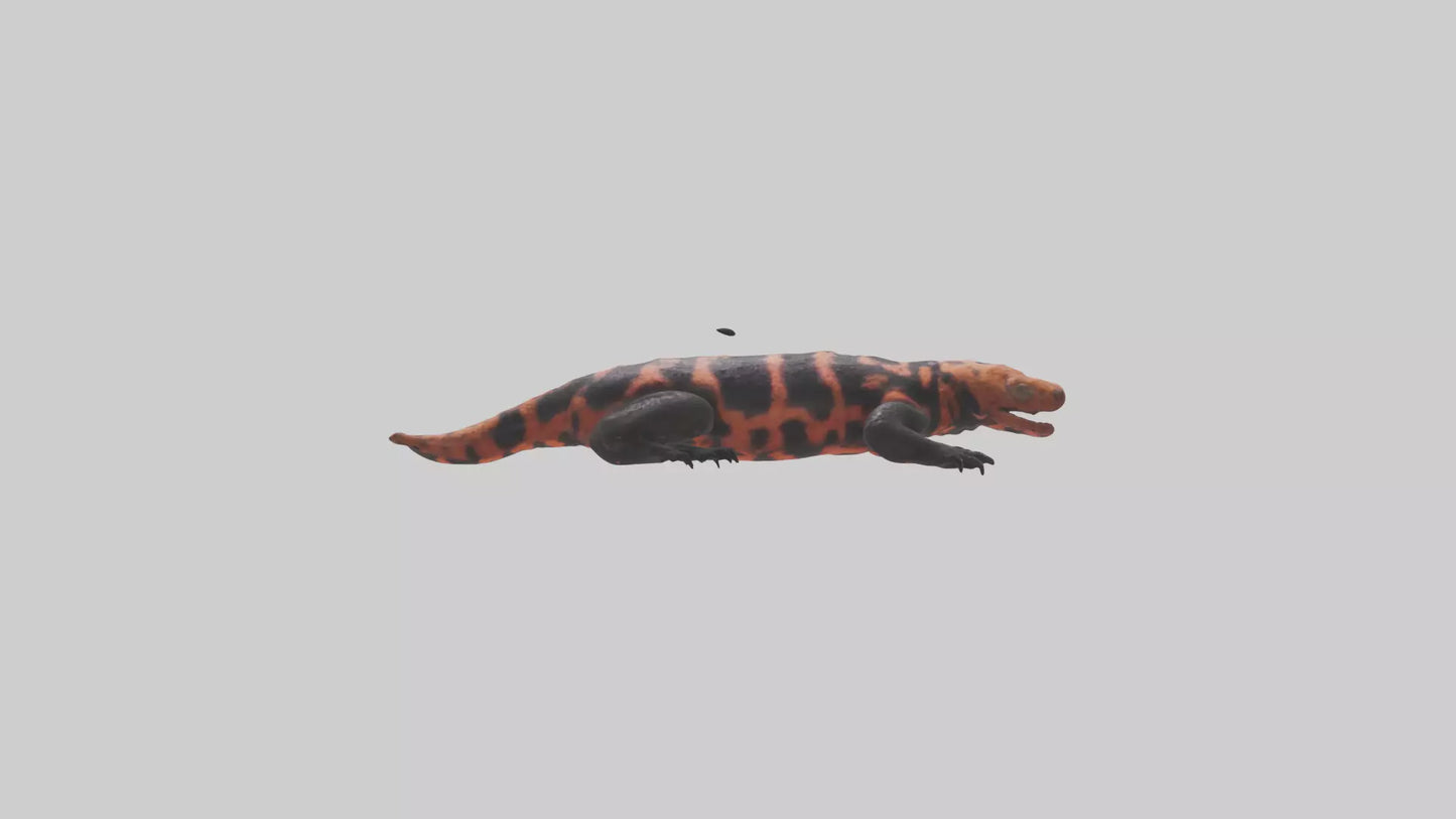 3D model Gila Monster sunning model VR / AR / low-poly