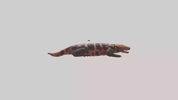 3D model Gila Monster sunning model VR / AR / low-poly