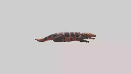 3D model Gila Monster sunning model VR / AR / low-poly