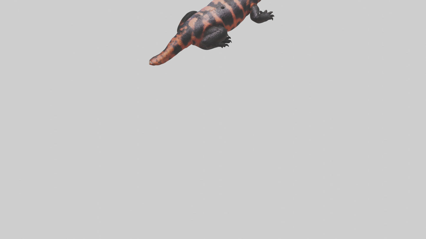 3D model Gila Monster sunning model VR / AR / low-poly
