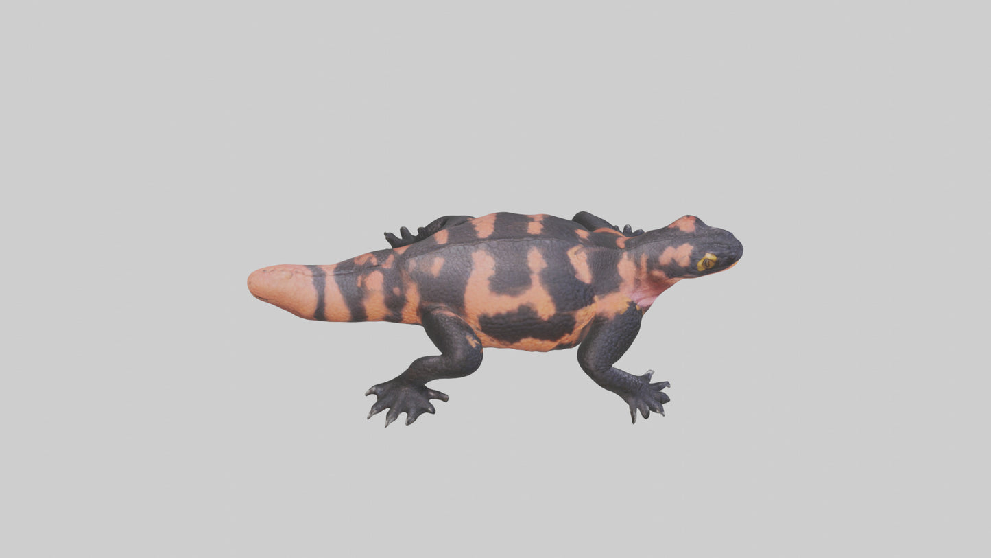 3D model Gila Monster sunning model VR / AR / low-poly