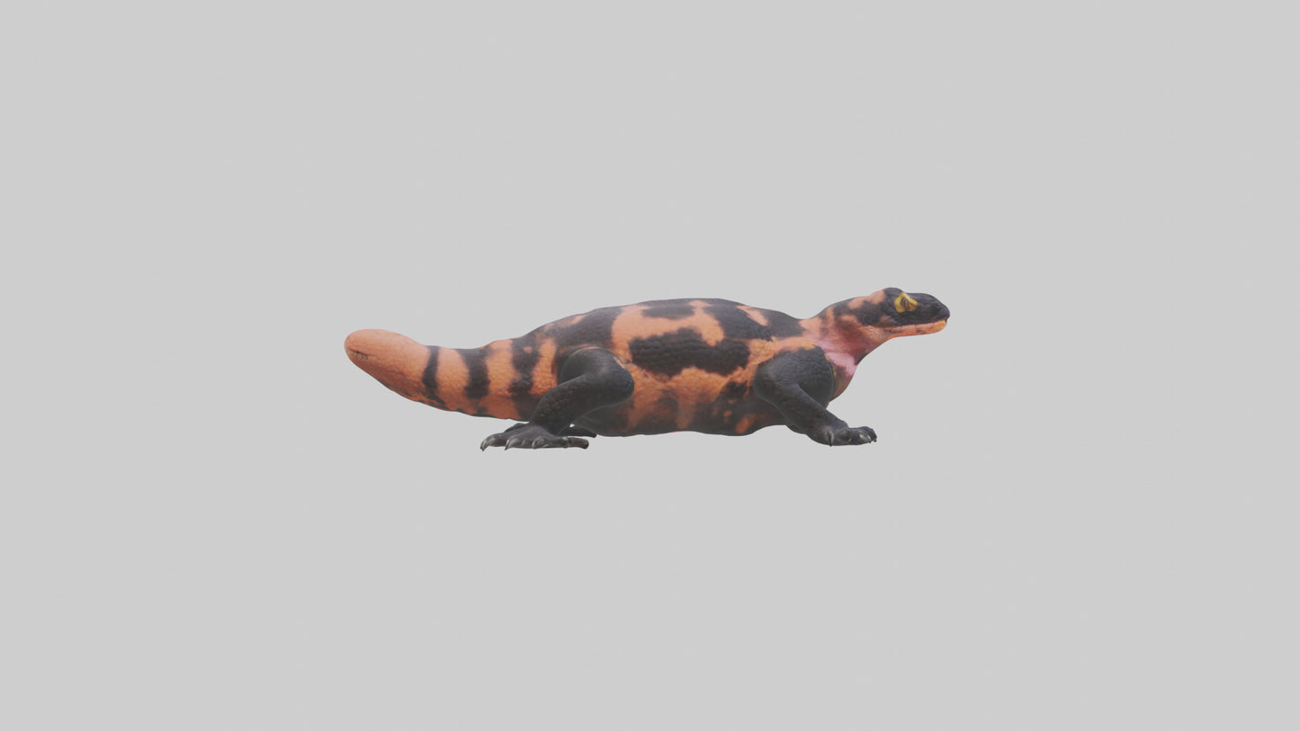3D model Gila Monster sunning model VR / AR / low-poly