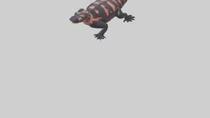 3D model Gila Monster sunning model VR / AR / low-poly