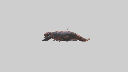 3D model Gila Monster sunning model VR / AR / low-poly