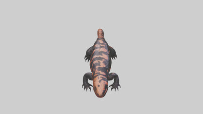 3D model Gila Monster sunning model VR / AR / low-poly