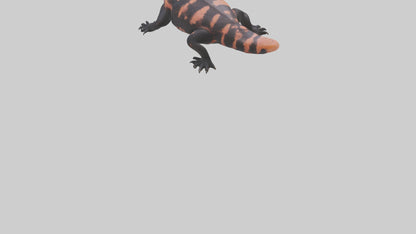 3D model Gila Monster sunning model VR / AR / low-poly