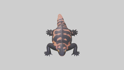 3D model Gila Monster sunning model VR / AR / low-poly