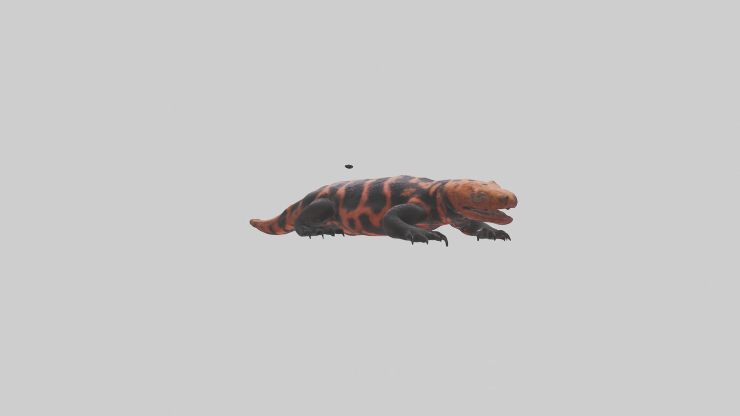 3D model Gila Monster sunning model VR / AR / low-poly