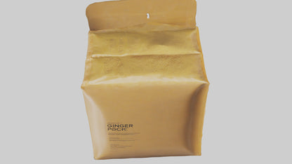 3D model Ginger Powder Pack model VR / AR / low-poly