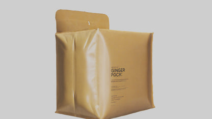 3D model Ginger Powder Pack model VR / AR / low-poly