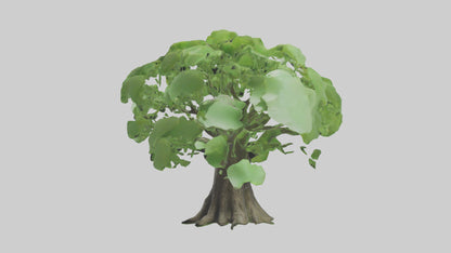 3D model Ginkgo tree model VR / AR / low-poly